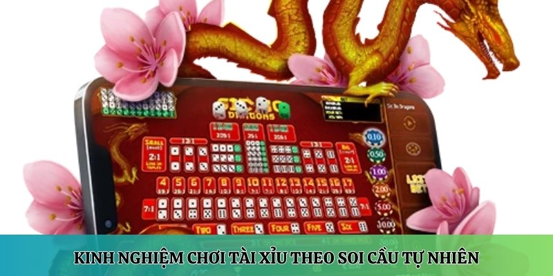 Kinh nghiệm chơi Tài xỉu 4 Kinh nghiệm chơi tài xỉu theo soi cầu tự nhiên