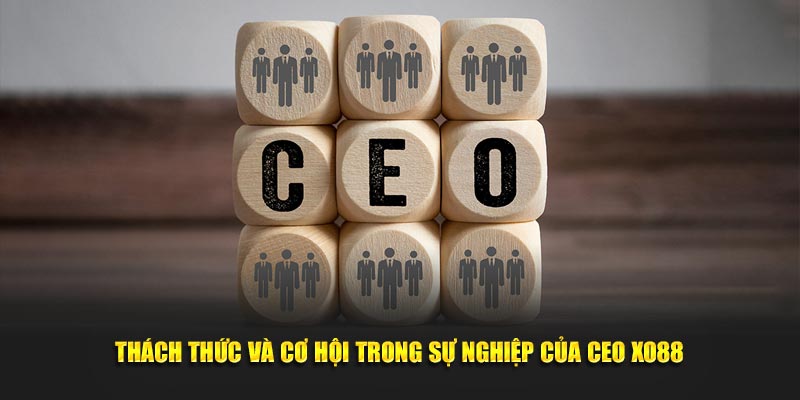 CEO XO88 3 Thách thức và cơ hội trong sự nghiệp của CEO XO88